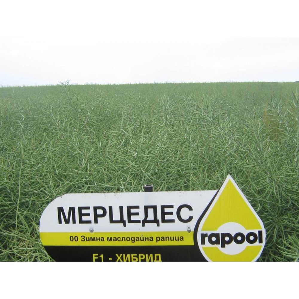 МЕРЦЕДЕС