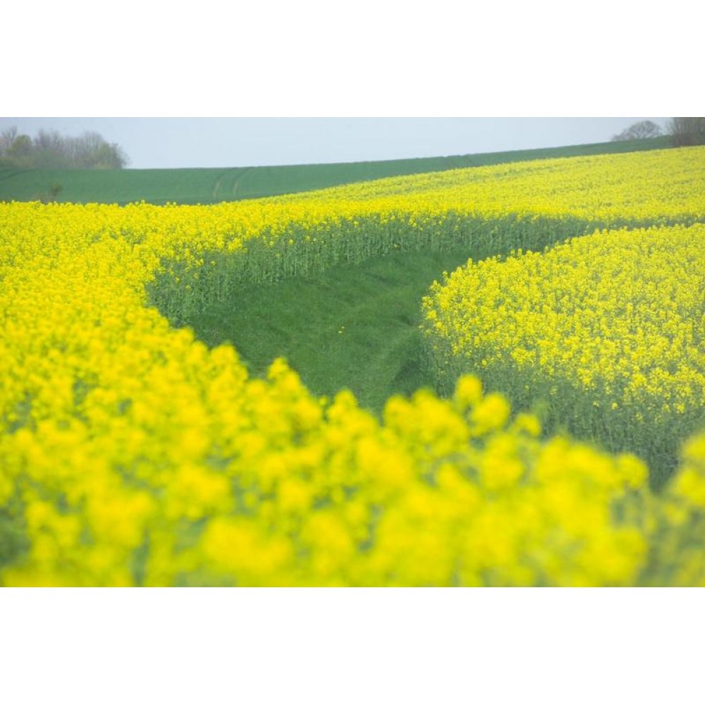 ШЕРПА